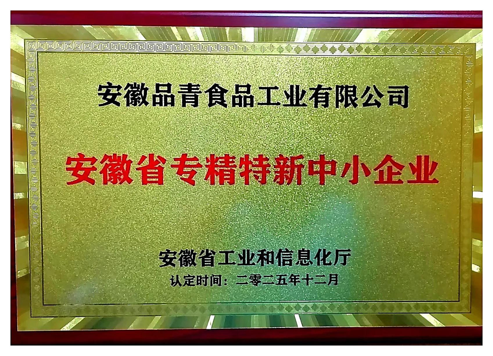 安徽省专精特新中小企业