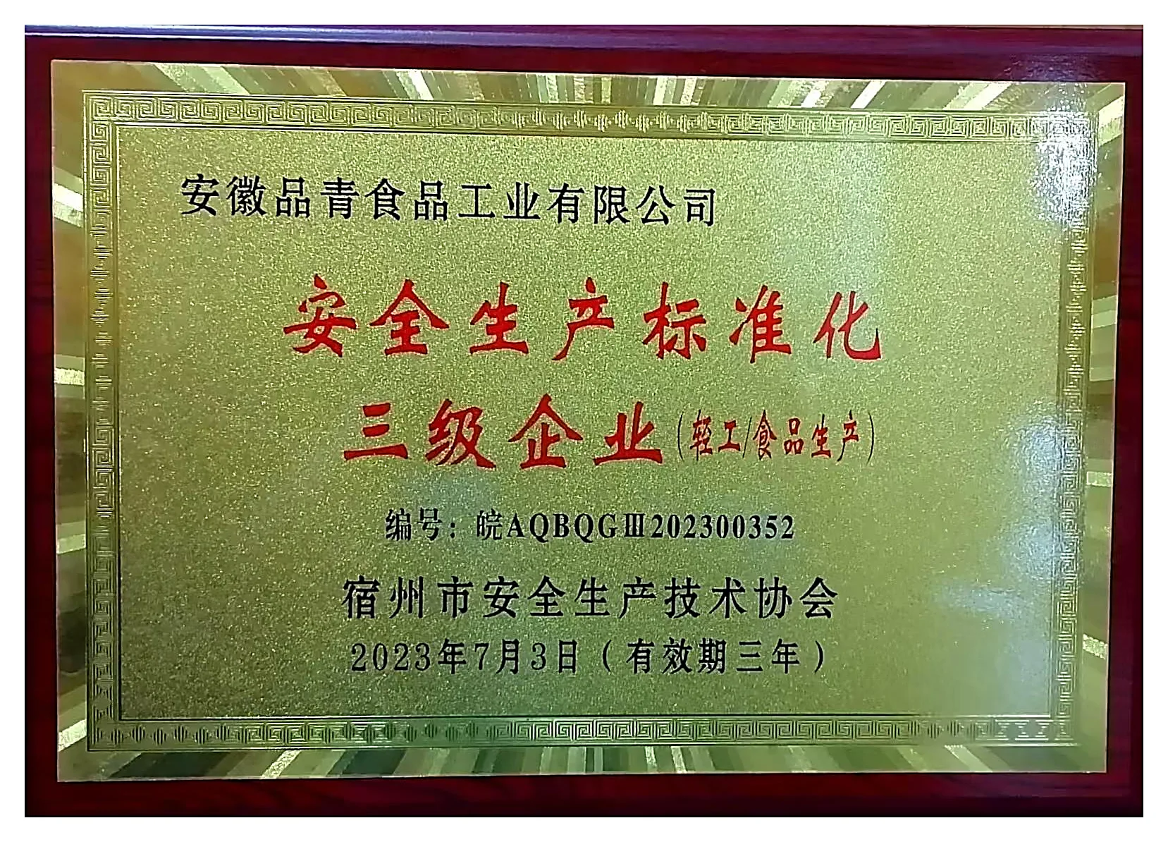 安全生产标准化三级企业